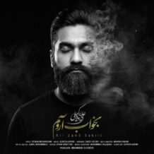 آهنگ جدید علی زندوکیلی به نام بخواب آروم